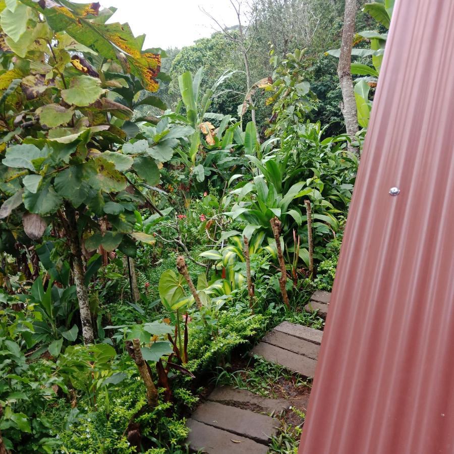 Eco Bedugul Adventurer Camp Bed & Breakfast Exterior photo